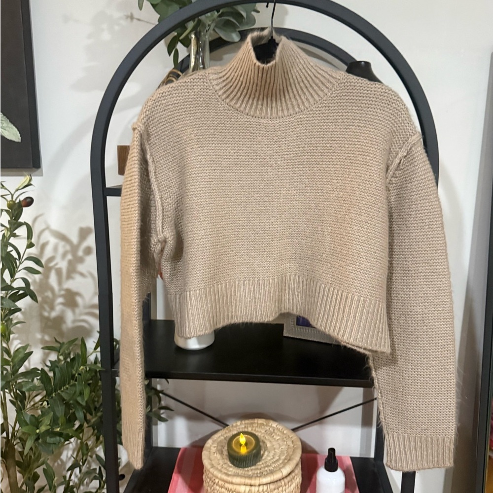 Elodie Beige Turtleneck  cropped Sweater size xl